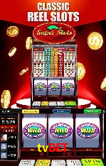 tvbet: A Experiência de Casino com Jogos de Mesa ao Vivo